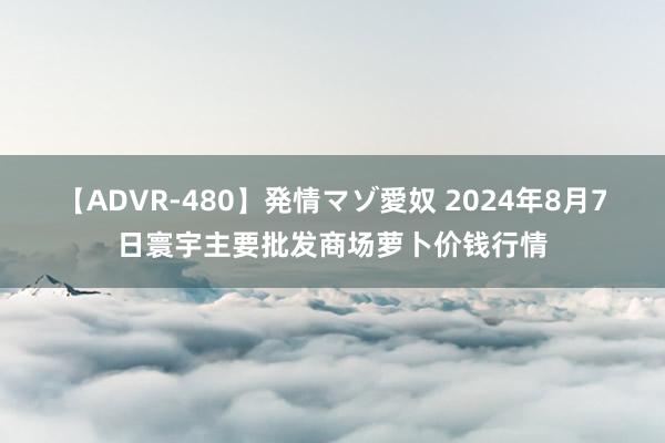 【ADVR-480】発情マゾ愛奴 2024年8月7日寰宇主要批发商场萝卜价钱行情