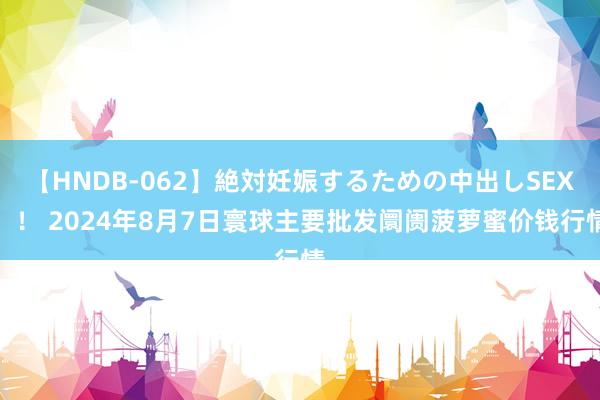 【HNDB-062】絶対妊娠するための中出しSEX！！ 2024年8月7日寰球主要批发阛阓菠萝蜜价钱行情