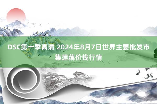 DSC第一季高清 2024年8月7日世界主要批发市集莲藕价钱行情