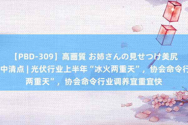 【PBD-309】高画質 お姉さんの見せつけ美尻＆美脚の誘惑 年中清点 | 光伏行业上半年“冰火两重天”，协会命令行业调养宜重宜快