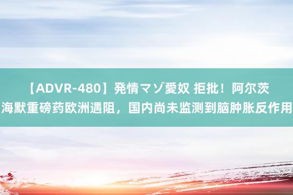 【ADVR-480】発情マゾ愛奴 拒批！阿尔茨海默重磅药欧洲遇阻，国内尚未监测到脑肿胀反作用