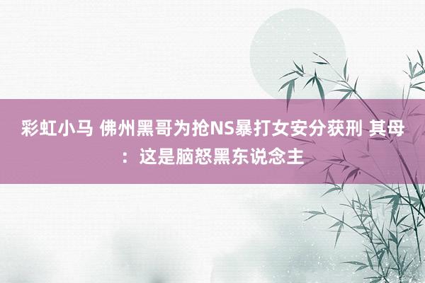 彩虹小马 佛州黑哥为抢NS暴打女安分获刑 其母：这是脑怒黑东说念主