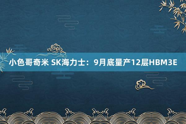 小色哥奇米 SK海力士：9月底量产12层HBM3E